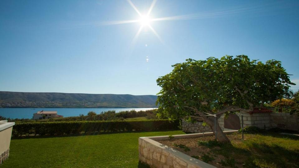 Apartments Basaca باغ المظهر الخارجي الصورة